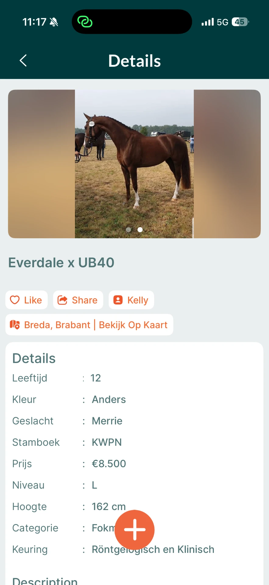 AllHorses Android-app: advertentiedetail