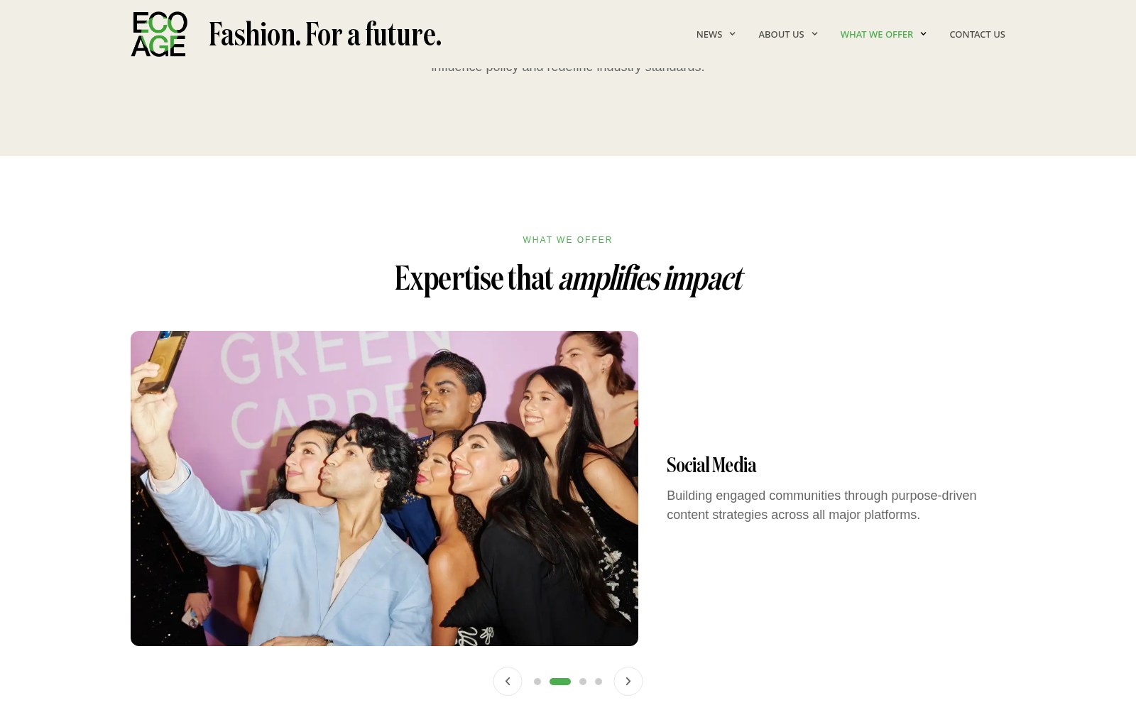 Sectie Expertise that amplifies impact op de website van Eco Age